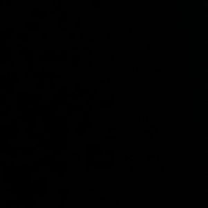 Meet your Posher, Jayme